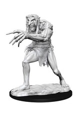 Wiz-Kids D&D Minis: W12.5 Troll