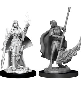 Wiz-Kids Pathfinder Minis: W11 Female Human Oracle (Magic User)