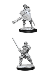 Wiz-Kids D&D Minis: W8 Male Human Fighter