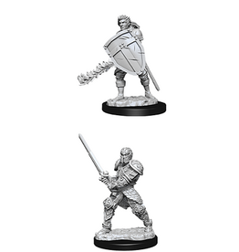 Wiz-Kids D&D Minis: W8 Male Human Fighter