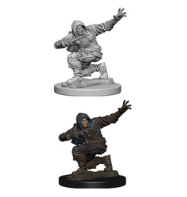 Wiz-Kids Pathfinder Minis: W1 Human Male Rogue