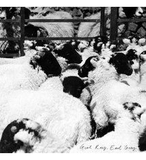 Rock/Pop Girl Ray - Earl Grey