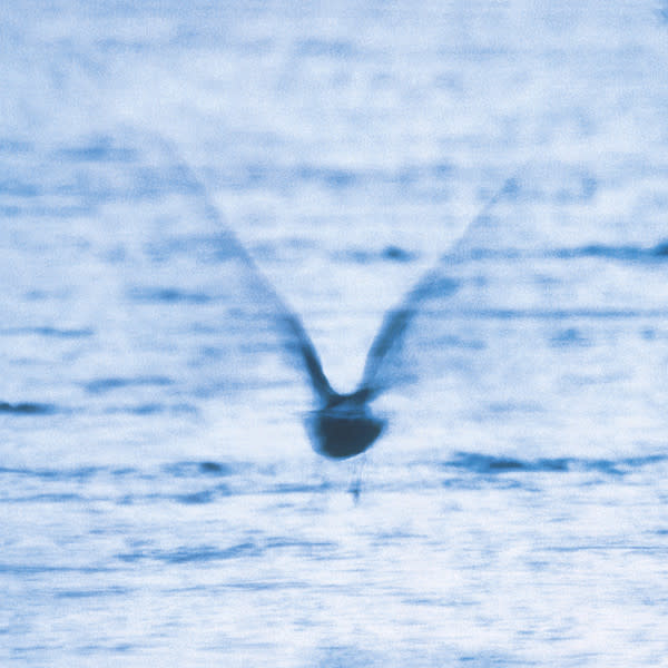 Jazz Ryo Fukui - Mellow Dream (Half-Speed Mastered)