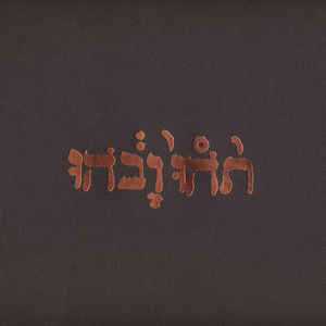 Rock/Pop Godspeed You Black Emperor! - Slow Riot For New Zero Kanada E.P.