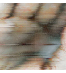 Electronic Chapterhouse Retranslated By Global Communication ‎– Blood Music: Pentamerous Metamorphosis