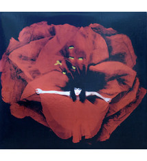 Rock/Pop The Smashing Pumpkins - Adore