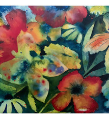 Rock/Pop Adrianne Lenker - songs and instrumentals (2LP)