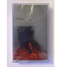 Rock/Pop Phoebe Bridgers - Punisher