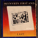 Rock/Pop Lynyrd Skynyrd - Skynyrd's First And... Last. (ink worn off on shell)