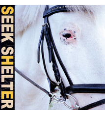 Rock/Pop Iceage - Seek Shelter