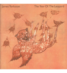 Folk/Country James Yorkston - The Year Of The Leopard (2x10") (VG+)