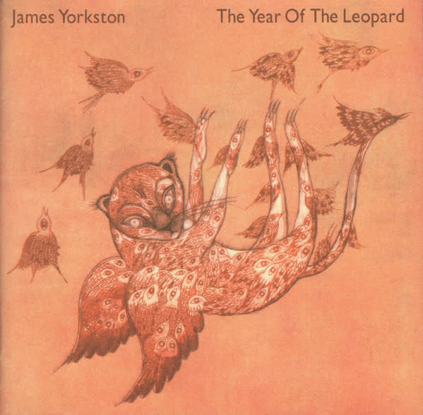 Folk/Country James Yorkston - The Year Of The Leopard (2x10") (VG+)