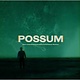 Soundtracks The Radiophonic Workshop - Possum