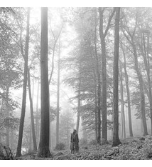 Rock/Pop Taylor Swift - Folklore (2 LP "In The Trees" Edition)