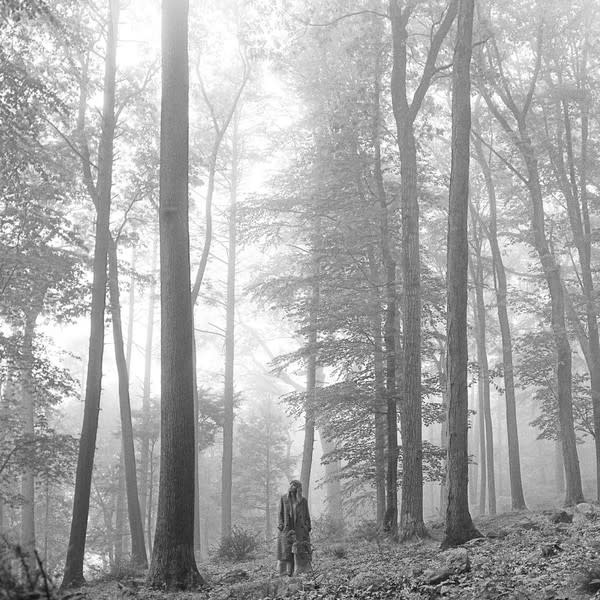 Rock/Pop Taylor Swift - Folklore (2 LP "In The Trees" Edition)