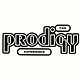Electronic The Prodigy - Experience