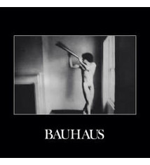 Rock/Pop Bauhaus - In The Flat Field