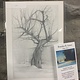 Art / Photography BBLiesen Print - Tree (5x7)