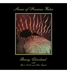 New Age Barry Cleveland with Bob Stohl and Kat Epple - Stones Of Precious Water