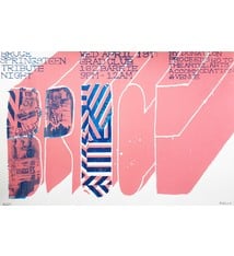 Art / Photography Bruce Springsteen Tribute - Silkscreen Poster by B. Nelson
