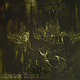 Metal Emperor - Anthems To The Welkin At Dusk (Black, White, & Green Swirl Vinyl)
