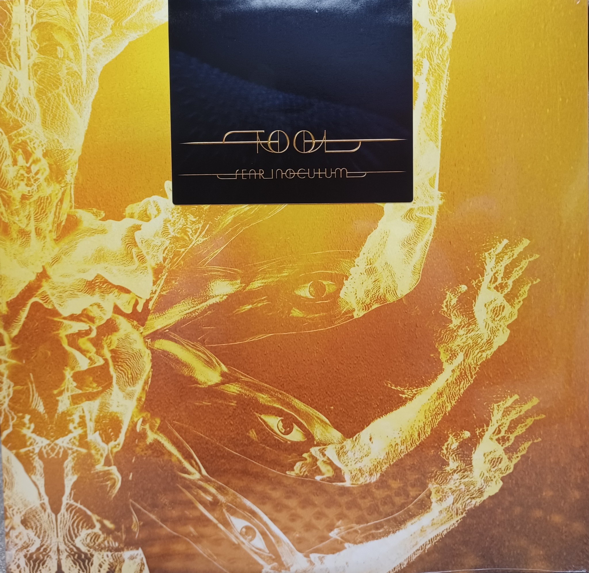Rock/Pop Tool - Fear Inoculum