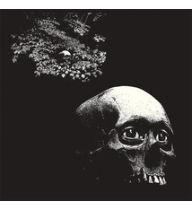 Rock/Pop Osees - A Foul Form