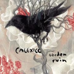 Rock/Pop Calexico - Garden Ruin (Silver & White Vinyl)