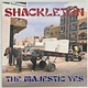 Electronic Shackleton - The Majestic Yes