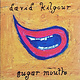 Rock/Pop David Kilgour - Sugar Mouth (2015 Gatefold Reissue) (NM)