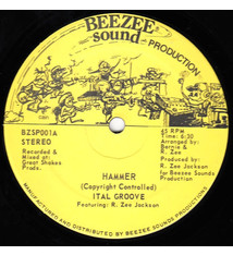 Reggae/Dub Ital Groove – Hammer 12" Single (Still Sealed)