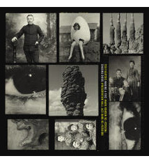 Rock/Pop Foo Fighters - Making A Fire b/w Chasing Birds *OVERSTOCK BLOWOUT 20% OFF!* ($18.99 -> $15.19)