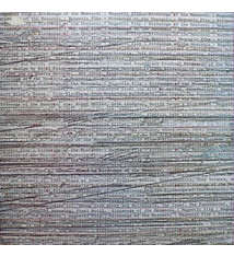 Rock/Pop Birdsongs Of The Mesozoic - Magnetic Flip (VG/light spine-wear)