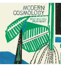 Rock/Pop Modern Cosmology - What Will You Grow Now?