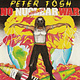 Reggae/Dub Peter Tosh - No Nuclear War (USED CD)
