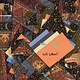 Rock/Pop Animal Collective - Isn't It Now? (Tangerine Vinyl)