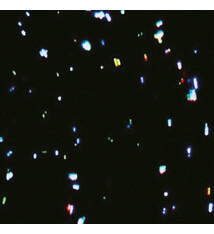 Rock/Pop Studio Mule - BGM *20% OFF!* ($49.99 -> $39.99)