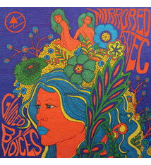 Rock/Pop Guided By Voices - Mirrored Aztec *20% OFF!* ($32.99 -> $26.39)