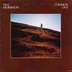 Rock/Pop Van Morrison - Common One (VG++/ small creases, avg. shelf wear, split on inner sleeve)