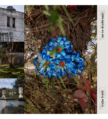 Experimental Mabe Fratti - Se Ve Desde Aquí (Blue Vinyl) (NM)