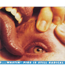 Rock/Pop The Flaming Lips - Yeah, I Know It's A Drag...Wastin' Pigs Is Still Radical (USED CD - light promo slice on spine)