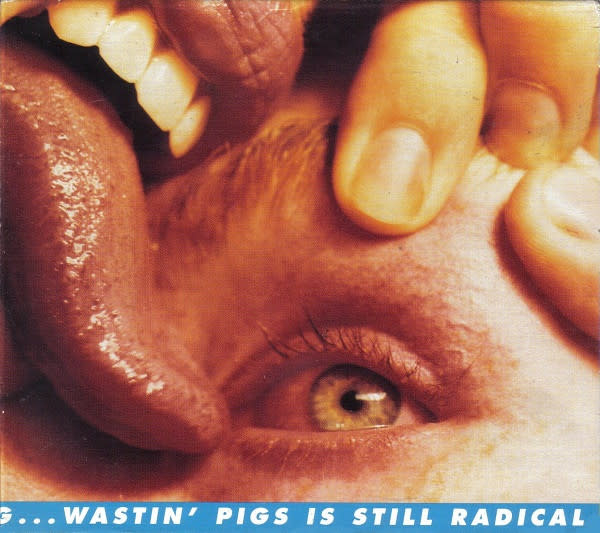 Rock/Pop The Flaming Lips - Yeah, I Know It's A Drag...Wastin' Pigs Is Still Radical (USED CD - light promo slice on spine)