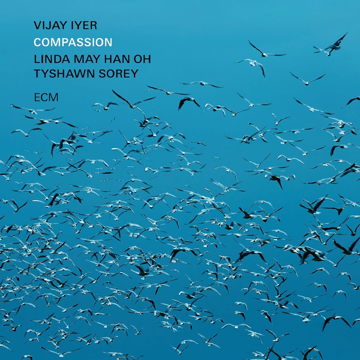 Jazz Vijay Iyer - Compassion