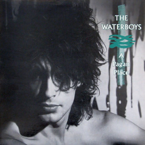 Rock/Pop The Waterboys – A Pagan Place (VG+/VG+)