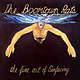 Rock/Pop The Boomtown Rats - The Fine Art Of Surfacing (VG+/VG)