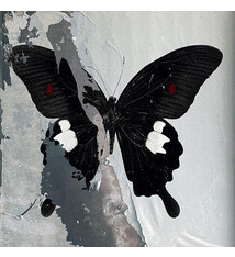 Rock/Pop Death Cult - Paradise Now (Splatter Vinyl)