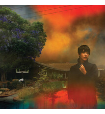 Rock/Pop Sharon Van Etten - We've Been Going About This All Wrong (Marble Smoke Vinyl) (NM/NM)