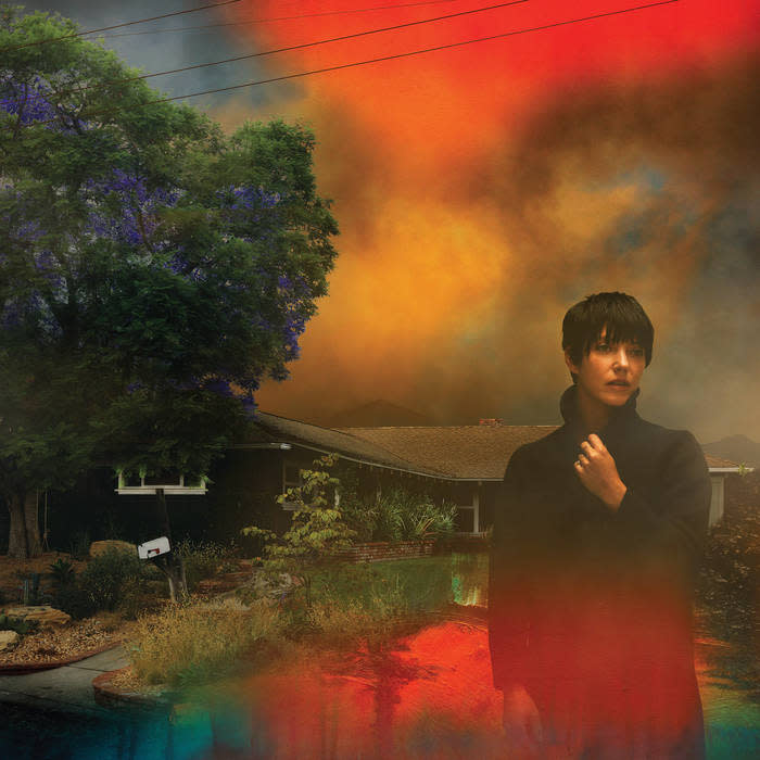 Rock/Pop Sharon Van Etten - We've Been Going About This All Wrong (Marble Smoke Vinyl) (NM/NM)