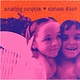 Rock/Pop Smashing Pumpkins - Siamese Dream (NEW CD)