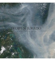 Rock/Pop Damien Jurado - Caught In The Trees (NM/VG+)